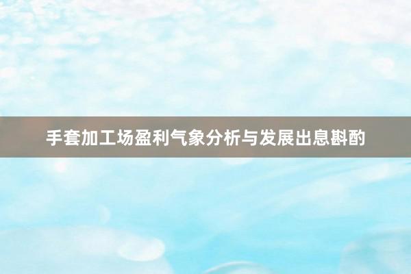 手套加工场盈利气象分析与发展出息斟酌